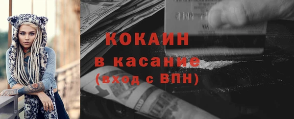 сатива Богданович