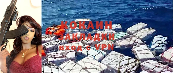 сатива Богданович