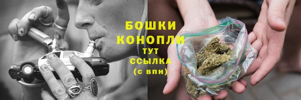 сатива Богданович