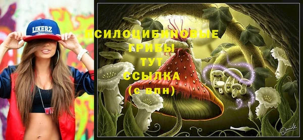 mix Богородицк