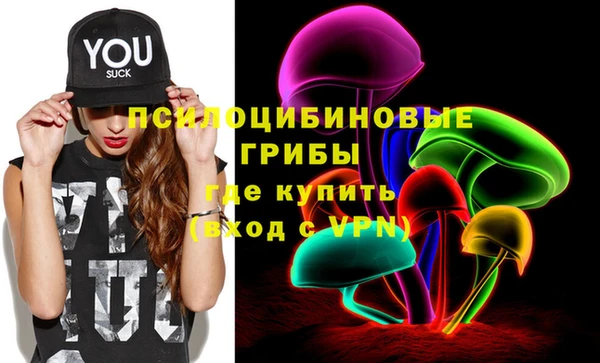 сатива Богданович