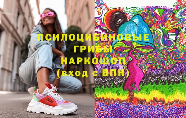 mix Богородицк
