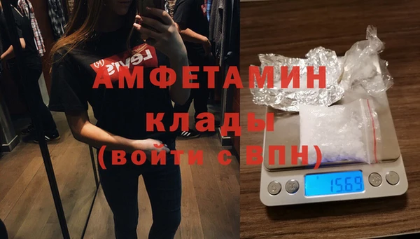 сатива Богданович