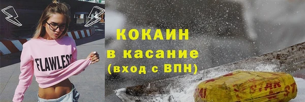 сатива Богданович