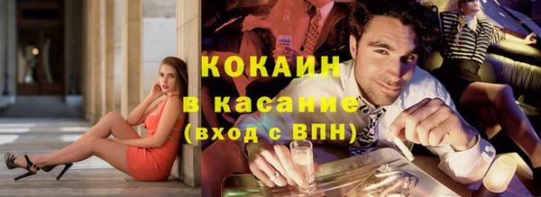 mix Богородицк