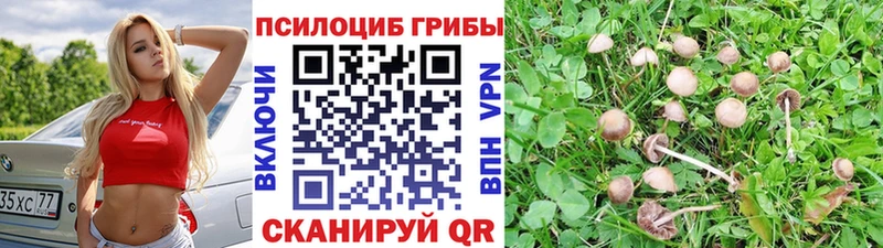 Псилоцибиновые грибы GOLDEN TEACHER  Казань 